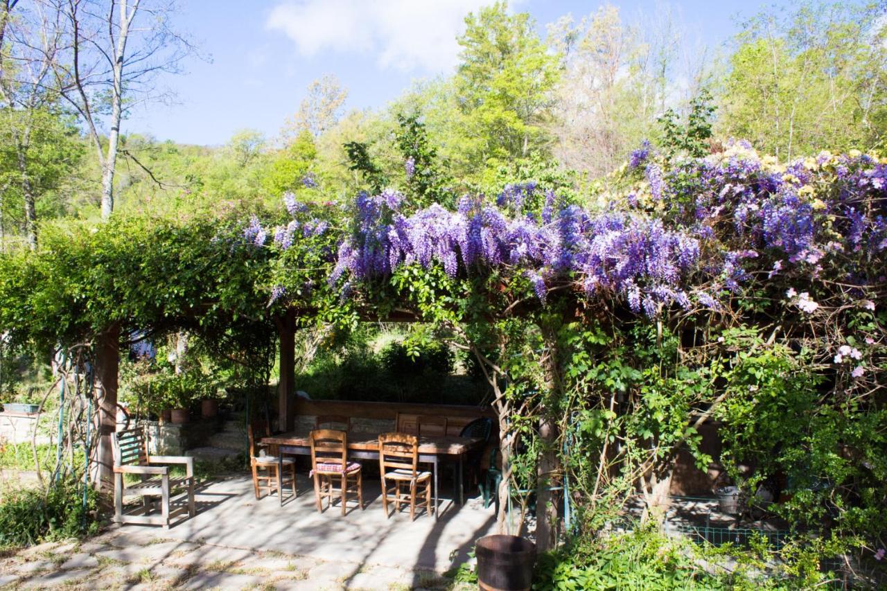 La Cavanella B&B Camugnano Екстериор снимка